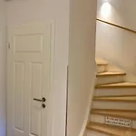 Dhh 