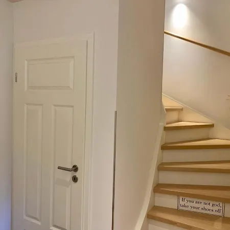 Dhh 