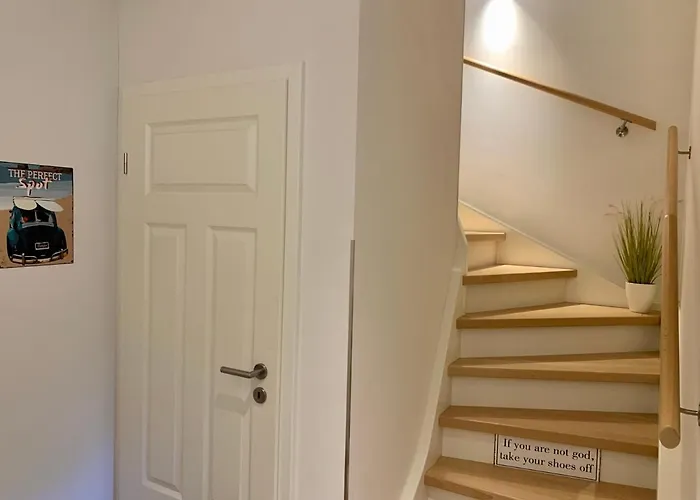 Dhh 